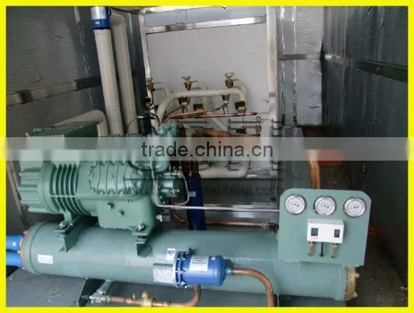 High Quality Fresh Keeping Plate Ice Machine