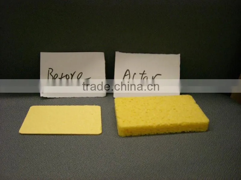 PVA Sponge