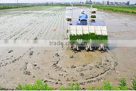 New Designed High Quality ISEKI Automatic Rice Transplanter