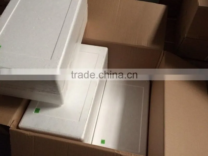 Auto Lamp For Mercedes Benz W163 M CLASS 98-05 ML 320 ML350 ML 430