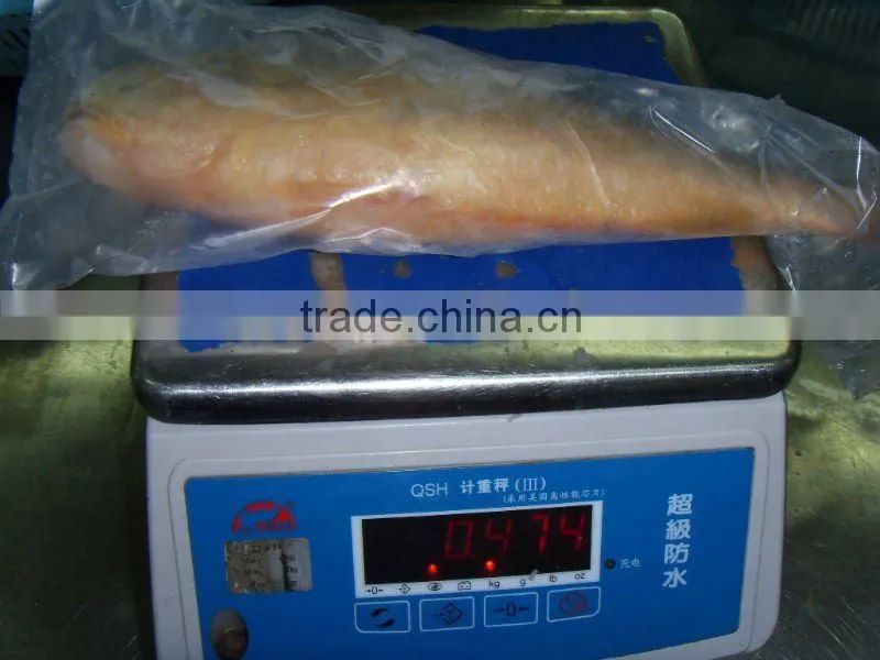 High Quality Of IQF Frozen Yellow Croaker In China