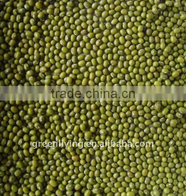 chinese green mung bean(dry)