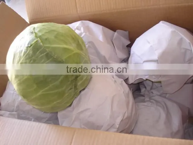 Round Cabbage/Flat Cabbage