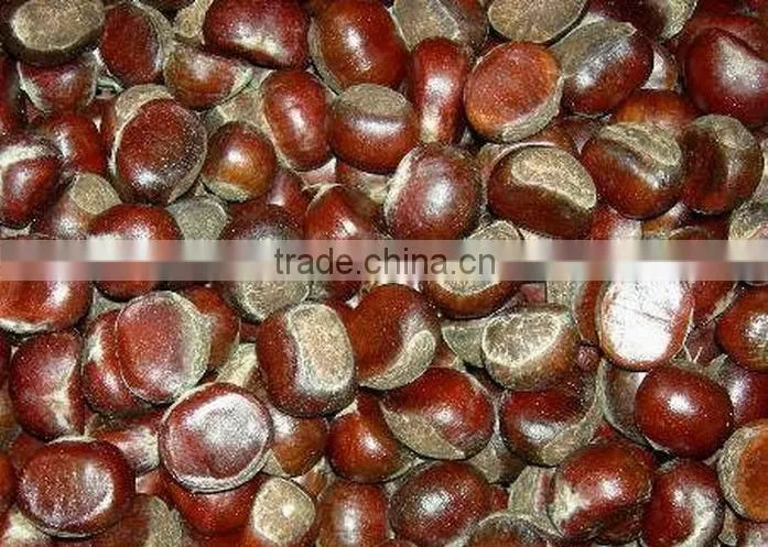 frozen Chestnut kernel grade AA sweet nuts