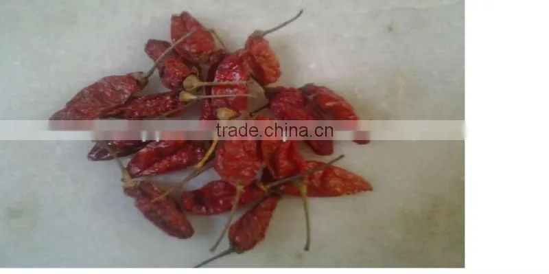 BEST RED CHILI