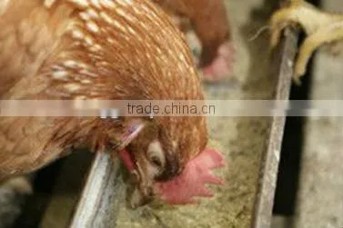 High quality soybean Meal 43% for sale