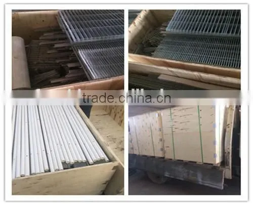 FRD 2016 Poultry farm equipment automatic battery design chicken egg layer cages /bird cage for sale/decorative bird cages