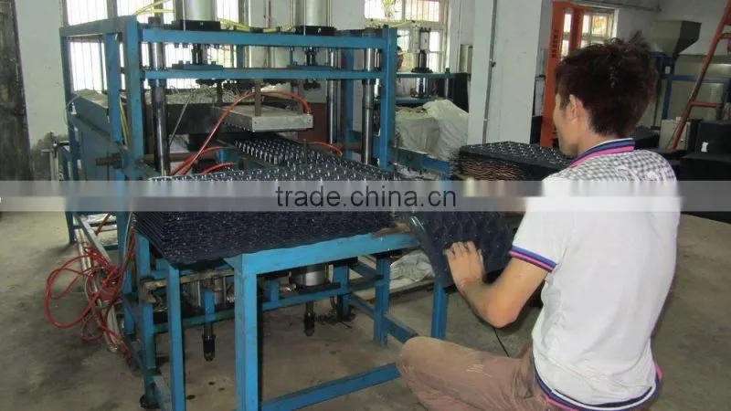seedling trays for greenhouse