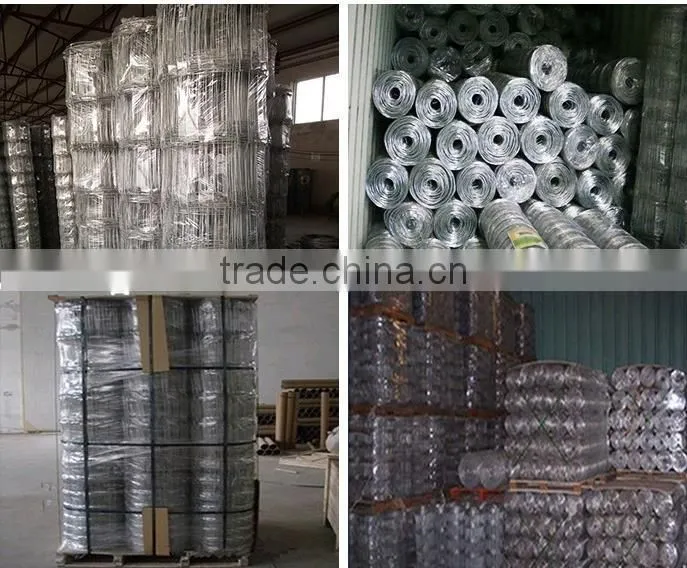 Hinged Joint Wire Field Fence For Farm,Forest ,Wild Dog/Farm Fence