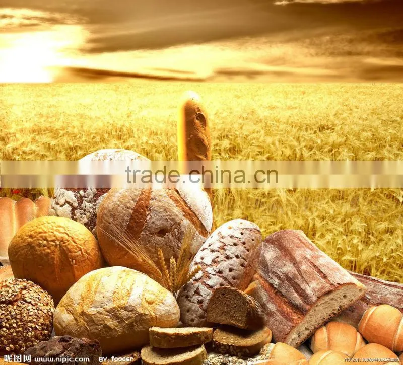 hot sale Gas bread Oven with three level