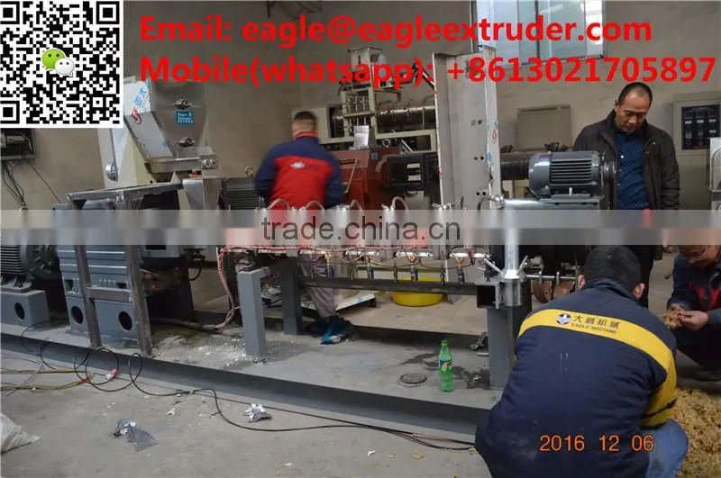 Jinan Eagle DP75 200-300/h 2D and 3D wheat and potato and corn snack pellet chips extruder machine production line