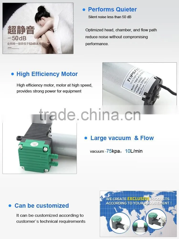 TM40-A Brush motor mini vacuum pump
