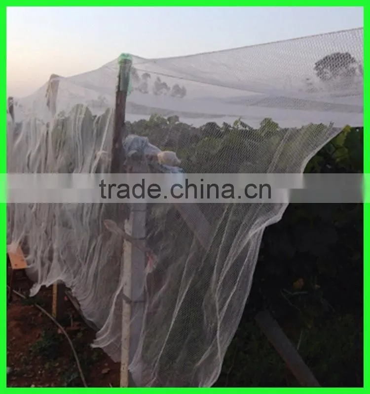 HDPE anti-bird net, anti bird protection net for vineyard china factory