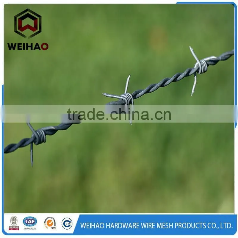 first-rated hot-dipped galvanized barbed wire