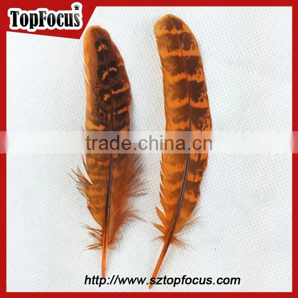 comfortable Ornate short prom dresses with fly tying pheasant feathers