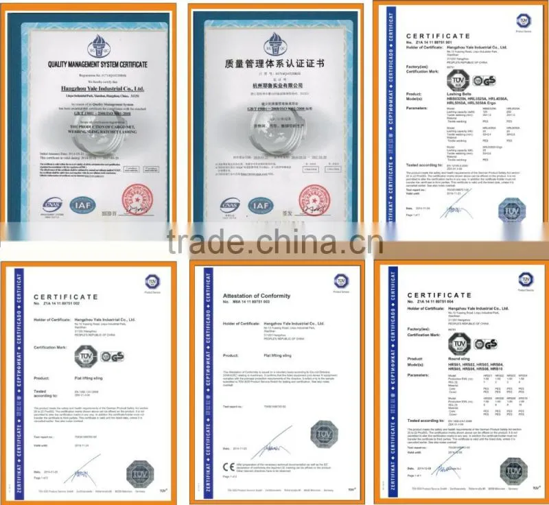 High quality cargo lashing ,cargo straps, cargo lashing straps