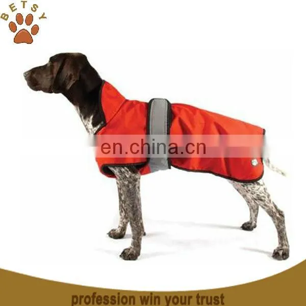 perro , dog clothes, dog supplies