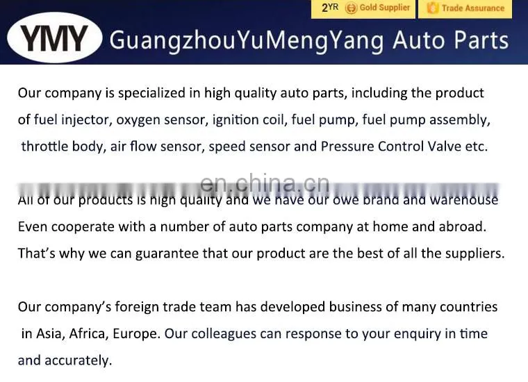 Best Offer fuel pump for Germany car WL01-0013