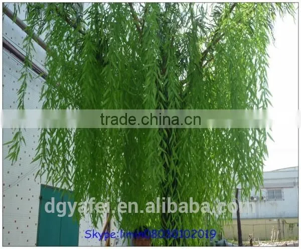 Fiberglass, plastic leaf,fiberglass trunk Material and Trees Plant Type Artificial Wepping Willow Tree for outdoor decoration