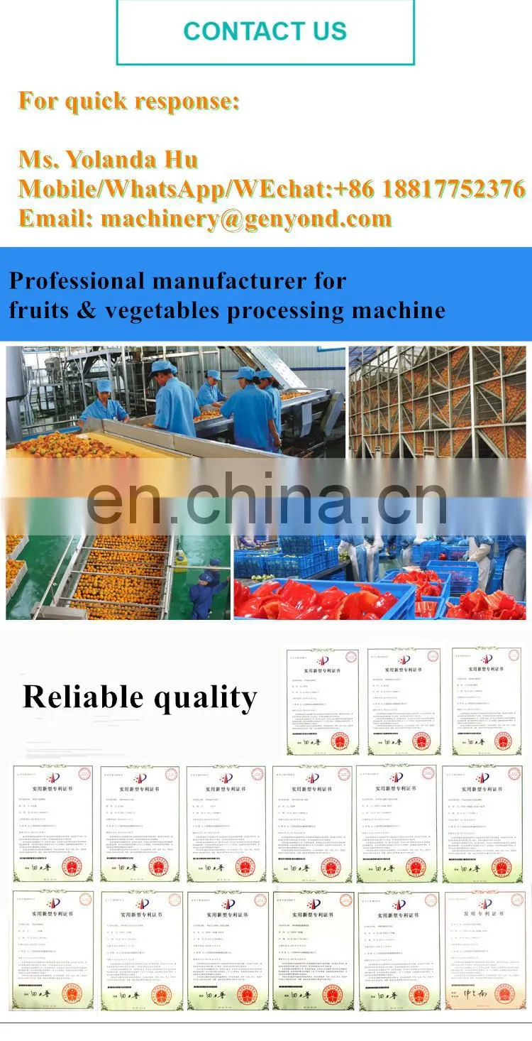 industrial Fresh noni juice making machine
