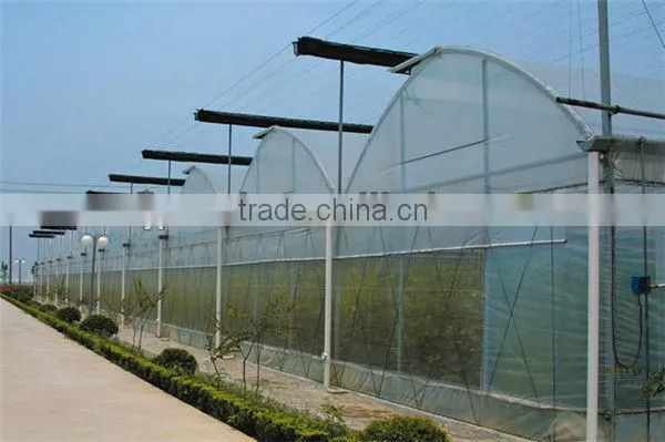 pep film double layer inflatable greenhouse