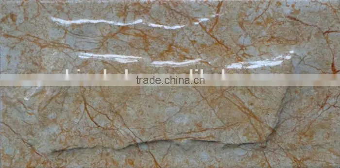 6D Inkjet painting outdoor wall tile100x200mm