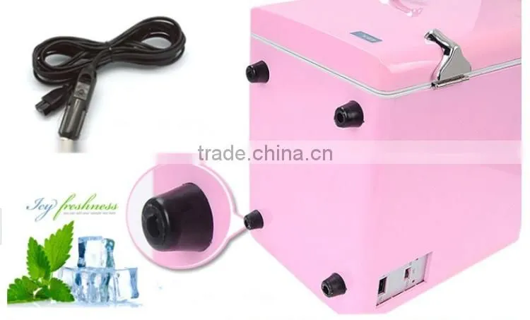 Low consumed easy to carry 4L car Refrigerator