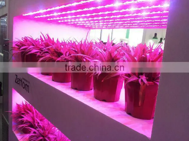 electrodeless discharge induction lamp with CE