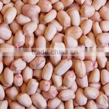 Peanut kernels