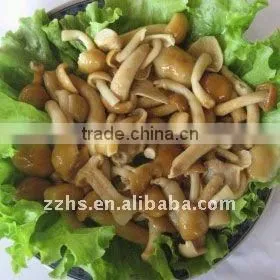 Marinated Nameko Mushroom With Especial Flavor