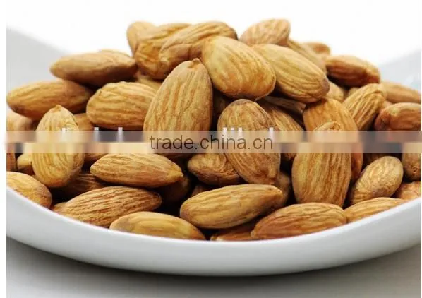 nut hazel walnut almond dehuller