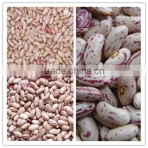 we are supply speckled Kidney Beans with good quality for sale