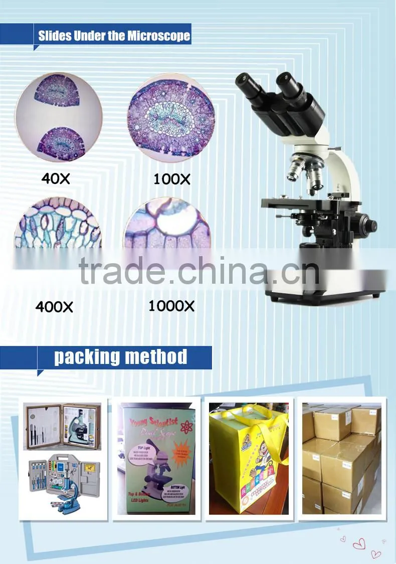 XTX-203C 45 Inclined Binocular Stereo Microscope