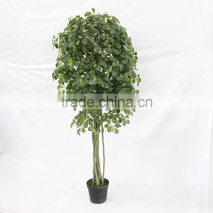 make artificial money tree plant