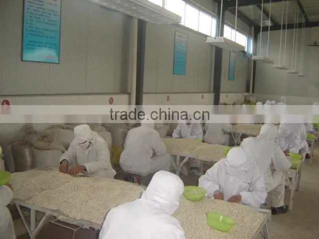2014 different varieties of white kidney beans from China with cheap price