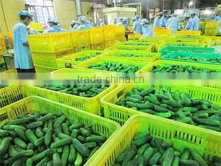 Binh Minh Food Joint Stock Company company overview - view 3
