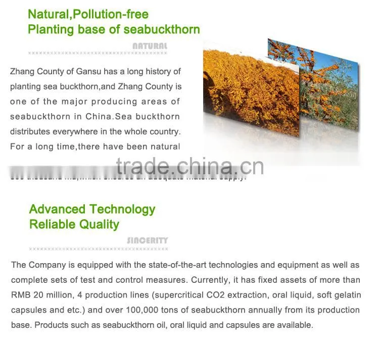 Elimination of electrostatic care hair repair damaged hair Seabuckthorn hair conditioner