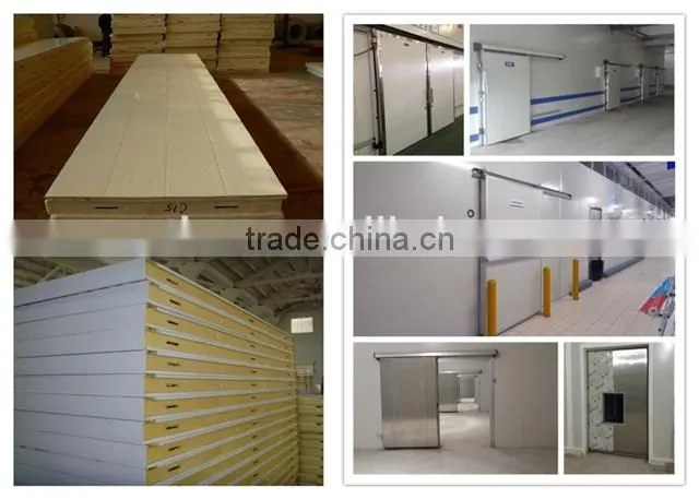 Professional Cold Storage Cooling Freezer Room