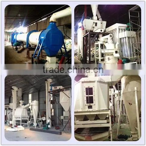 CE approved biomass wood pellet mill for EFB, Oil Palm,Pine,Olive Shell