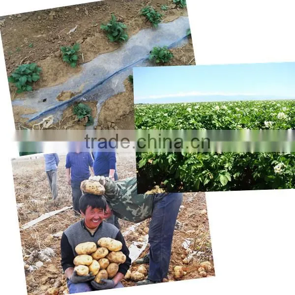 Drip Irrigation Equipment