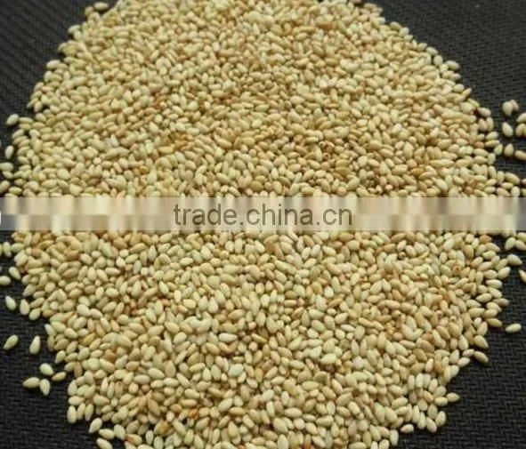 Agricultural Rice Thresher Machine Mini Wheat Thresher Paddy Rice Sheller Machine (whatsapp:0086 15039114052)