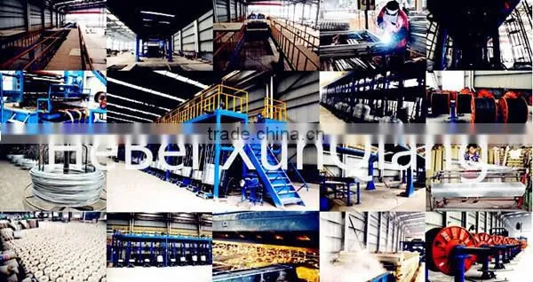 SS400 or Q235 Steel Profiles mild steel angle bar from China