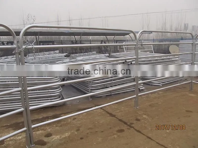 2015 The best selling Hot galvanized cheap cattle panel fence