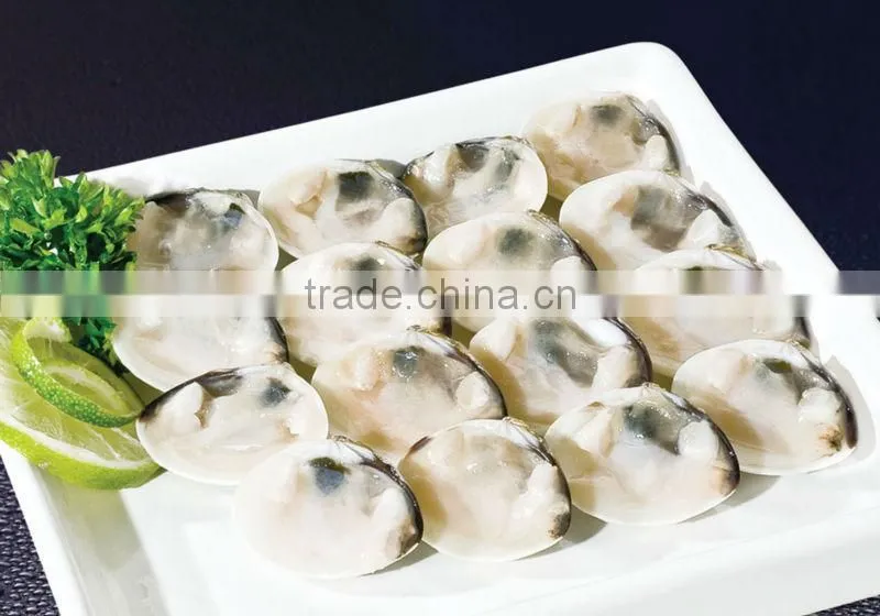 Clam / Frozen cooked white clam / Vietnam seafood