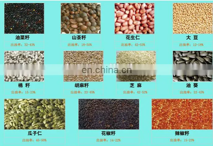 top quality avocado seed oil making machine, avocado seed oil extraction