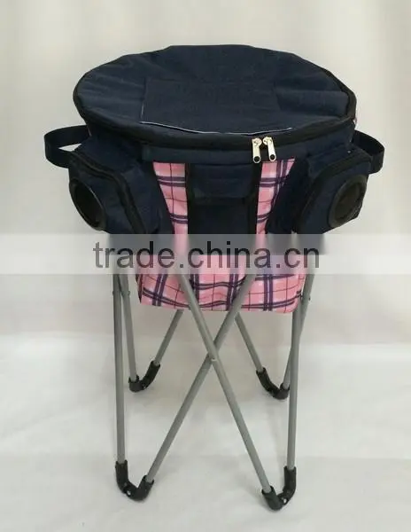 Stand cooler bag with carrying bag for outdoors
