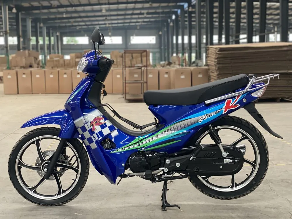 弯梁 KTM (12)
