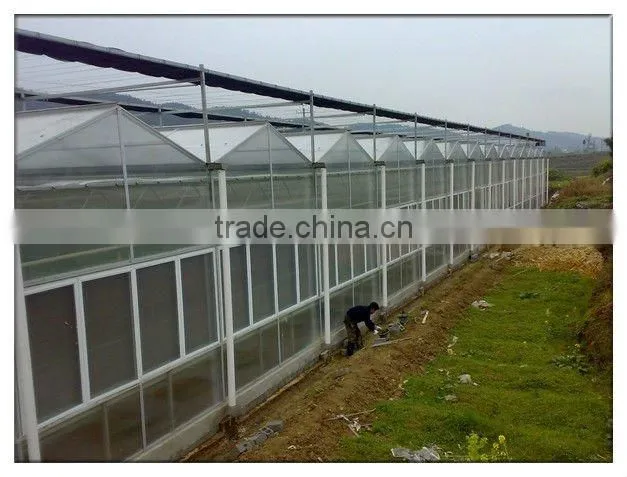Hollow Polycarbonate Sheet Greenhouse