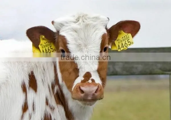 134.2khz rfid ear tag