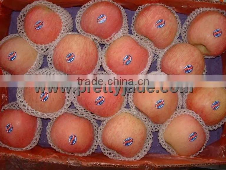 red fresh Fuji apple